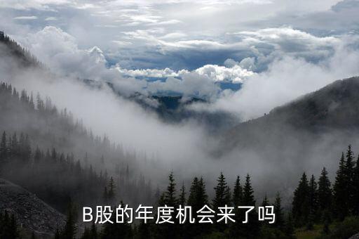 b股有什么消息嗎，B股會有明天嗎