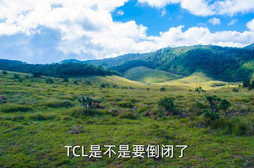 tcl什么時(shí)候申請(qǐng)的破產(chǎn)，TCL公司倒閉了嗎