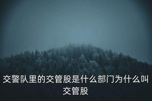 交警隊里的交管股是什么部門為什么叫交管股