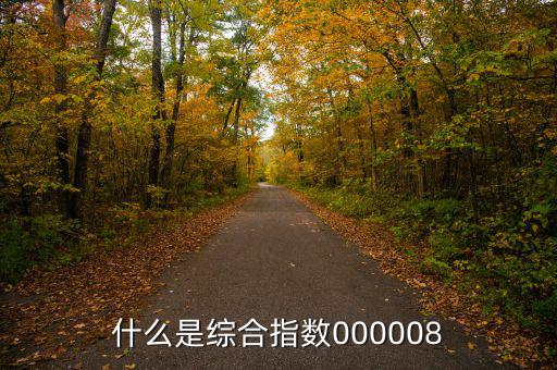 什么是綜合指數(shù)000008