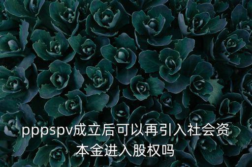 spv公司是什么意思，spv公司是獨立法人