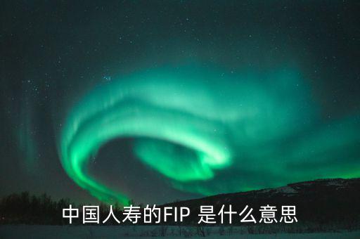 規(guī)模保費(fèi)是什么意思，中國(guó)人壽的FIP 是什么意思