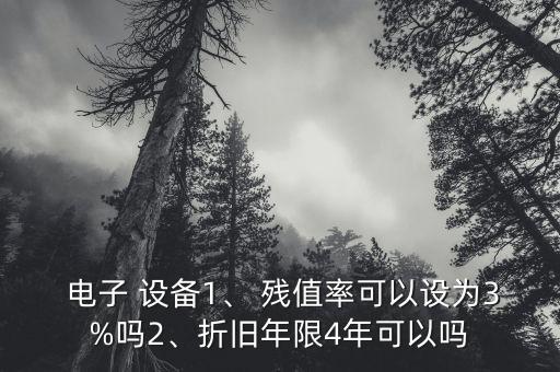  電子 設(shè)備1、 殘值率可以設(shè)為3%嗎2、折舊年限4年可以嗎