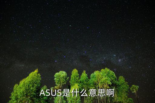 ASUS是什么意思啊