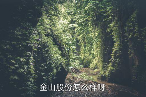 為什么沒人關(guān)注金山股份，金山股份怎么樣呀