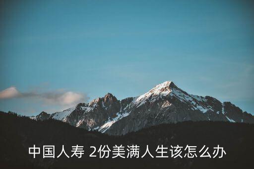 中國(guó)人壽 2份美滿(mǎn)人生該怎么辦