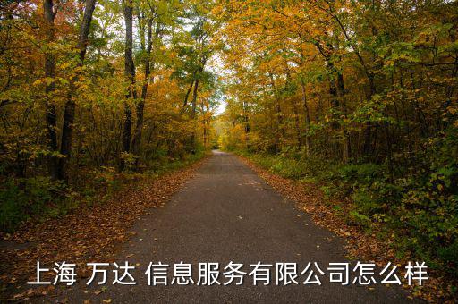 上海 萬達(dá) 信息服務(wù)有限公司怎么樣