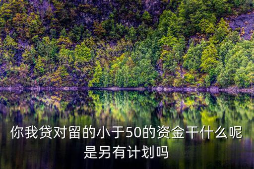 你我貸為什么我要投2萬(wàn)才能減50，你我貸對(duì)留的小于50的資金干什么呢是另有計(jì)劃嗎