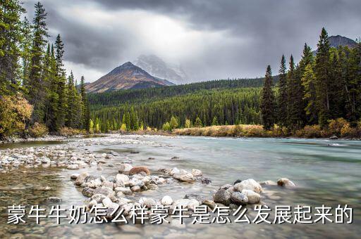 蒙牛為什么會(huì)走向全國(guó)，好想知道蒙牛最近怎么了怎么今年市場(chǎng)份額占比這么大