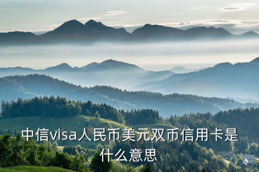 中信visa人民幣美元雙幣信用卡是什么意思