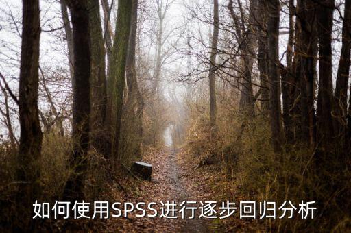 逐步回歸用什么軟件，關(guān)于spss相關(guān)分析和逐步回歸分析之間的一些疑問