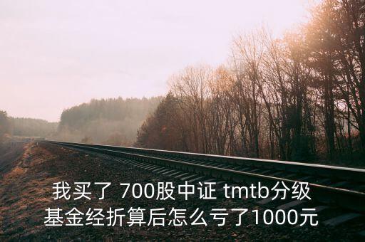 tmtb基金是什么股票，我買了 700股中證 tmtb分級基金經(jīng)折算后怎么虧了1000元