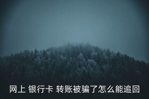 網(wǎng)上 銀行卡 轉(zhuǎn)賬被騙了怎么能追回