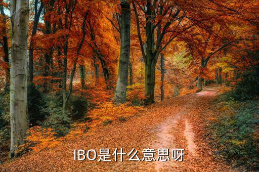 美股ibo是什么公司，IBO是什么意思呀