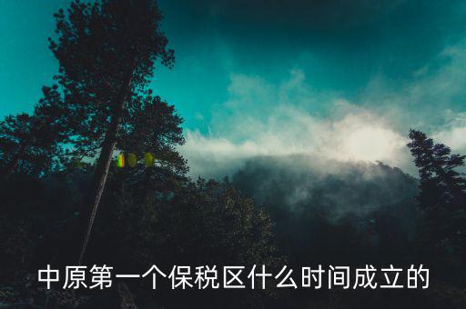 新泰保稅區(qū)什么時(shí)間投建，中原第一個(gè)保稅區(qū)什么時(shí)間成立的