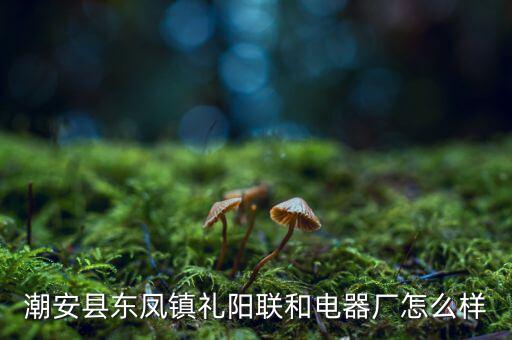 聯(lián)禮陽是個什么來路，樂雪薇 韓承毅 渠禮陽是什么小說