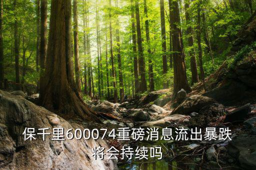 保千里600074重磅消息流出暴跌將會(huì)持續(xù)嗎