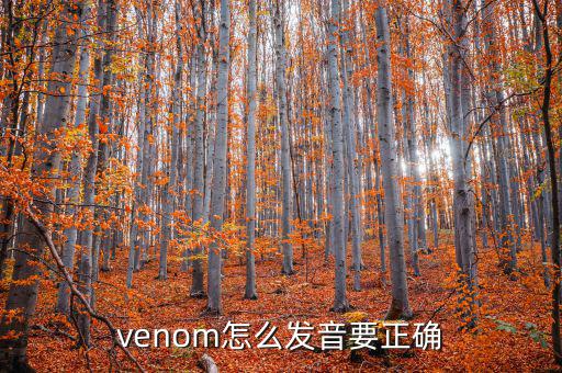 venom怎么發(fā)音要正確