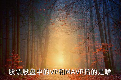 vr股是什么，股票股盤中的VR和MAVR指的是啥