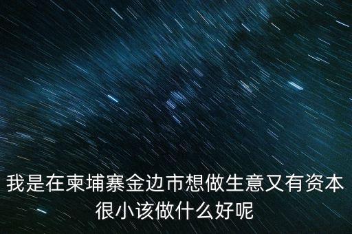 柬埔寨投資100萬元能干什么，我是在柬埔寨金邊市想做生意又有資本很小該做什么好呢