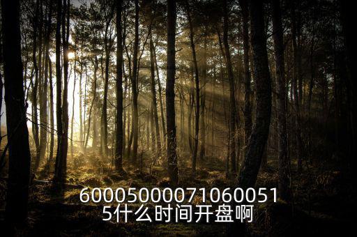 600050000710600515什么時間開盤啊