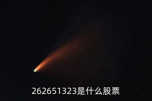 208393股票是什么，262651323是什么股票