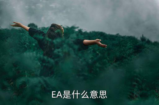 EA是什么意思