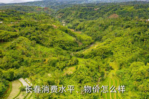  長(zhǎng)春消費(fèi)水平、物價(jià)怎么樣