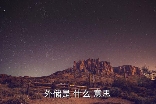 什么是外儲(chǔ)，什么是外儲(chǔ)