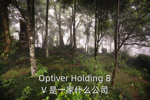 什么是nyme原油，Optiver Holding BV 是一家什么公司