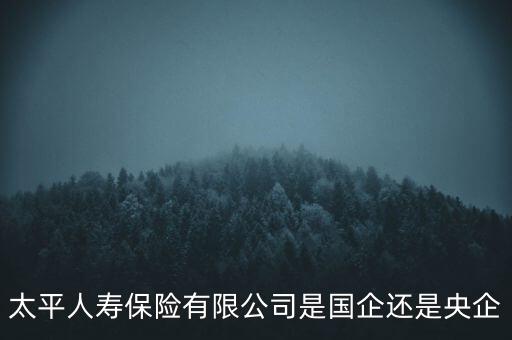 太平人壽保險(xiǎn)有限公司是國(guó)企還是央企