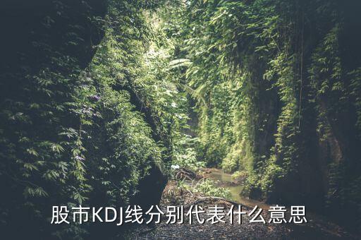 股票中的kdj代表什么，股票指標(biāo)的KDJ是什么意思