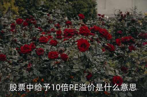 股票10倍市盈率什么意思，買10倍市盈率上下的大盤股什么意思