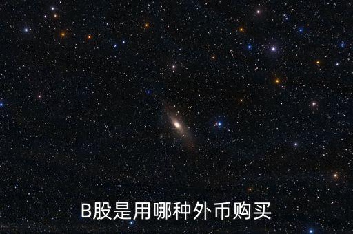 b股分紅支付什么貨幣，B股是用哪種外幣購(gòu)買