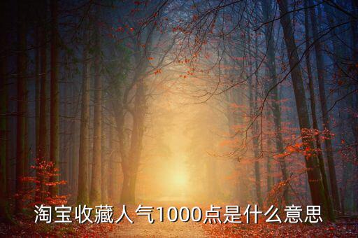 1000點2000點什么意思，加拿大簽證中1000 2000什么意思