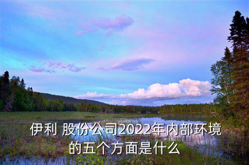  伊利 股份公司2022年內(nèi)部環(huán)境的五個(gè)方面是什么