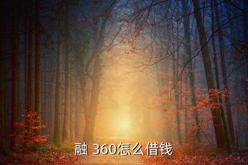 融 360怎么借錢