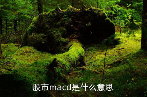 macd是什么意思，macd的含義是什么要簡(jiǎn)單明了