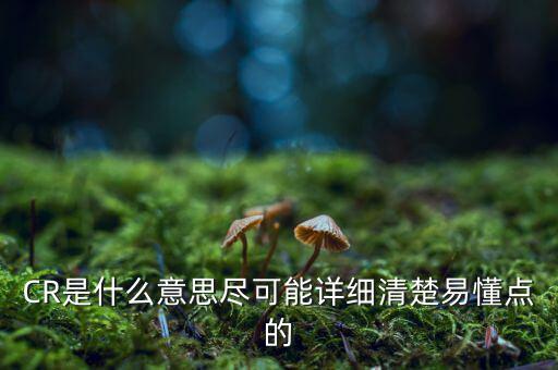 CR是什么意思盡可能詳細(xì)清楚易懂點(diǎn)的