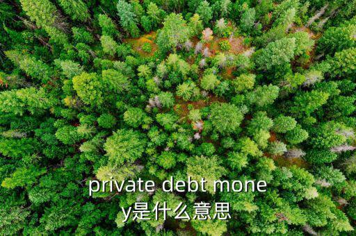 私人配售什么意思，private debt placement是什么意思啊