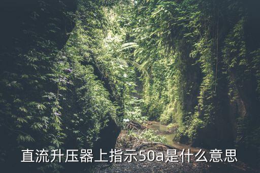 上證50a什么意思，招商央視財經(jīng)50a后面的a什么意思