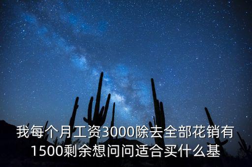 我每個(gè)月工資3000除去全部花銷有1500剩余想問問適合買什么基