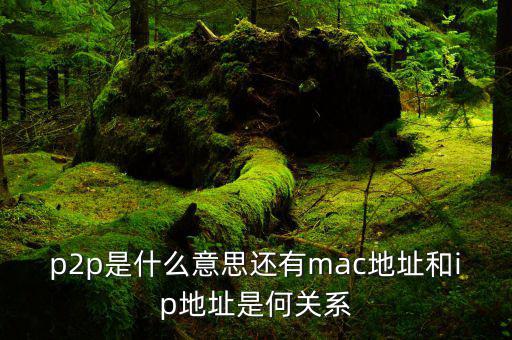 p2p是什么意思還有mac地址和ip地址是何關系