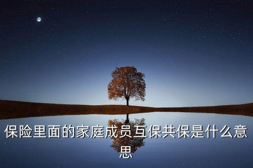 什么是共同被保險(xiǎn)人，保險(xiǎn)里面的家庭成員互保共保是什么意思