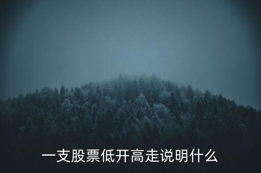 一支股票低開高走說明什么