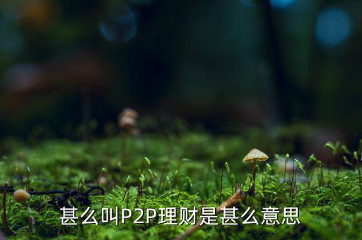 甚么叫P2P理財是甚么意思