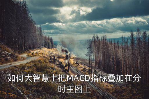 如何大智慧上把MACD指標疊加在分時主圖上