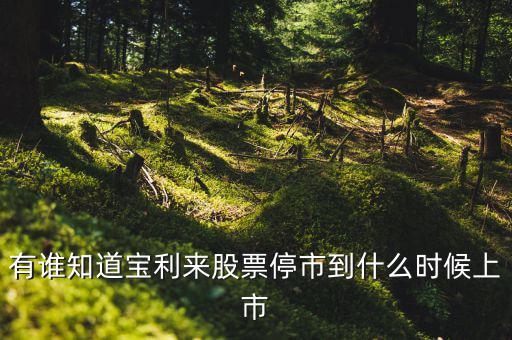 寶利來什么時(shí)候成為st股的，正常的股票變成st的具體時(shí)間