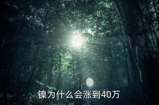 鎳為什么會(huì)漲到40萬(wàn)