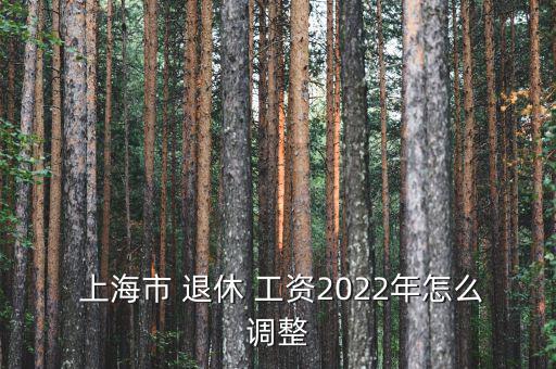  上海市 退休 工資2022年怎么調整